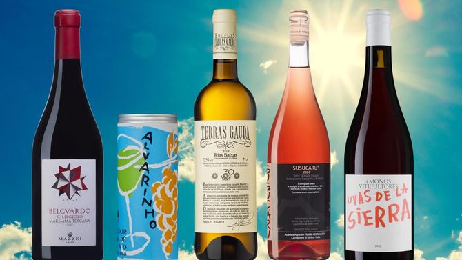 Håll kvar sommarkänslan med fem energiska viner