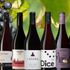 Fira pinot noir-dagen med 9 fynd på Systembolaget
