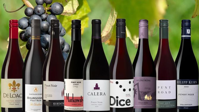 Fira pinot noir-dagen med 9 fynd på Systembolaget