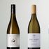 Bäst i Test vecka 34 - fyra bra viner gjorda på sauvignon blanc