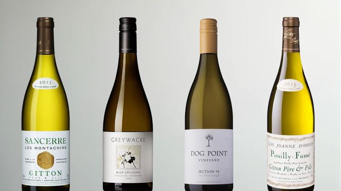 Bäst i Test vecka 34 - fyra bra viner gjorda på sauvignon blanc
