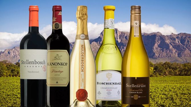 Stellenboschs nya sida – tips på 5 viner