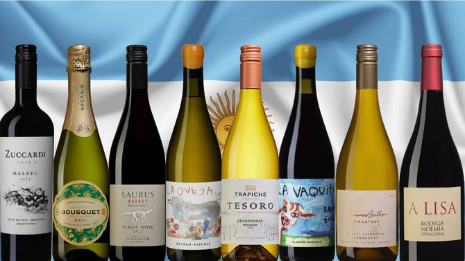 Upptäck vinlandet Argentina – åtta viner du inte får missa