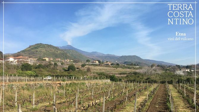 Etna – Italiens dolda vita viner