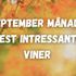 September månads mest intressanta viner