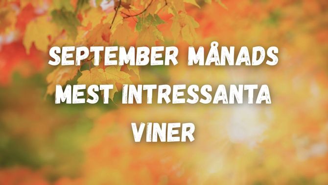 September månads mest intressanta viner