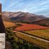 Kan garnacha förändra bilden av Chile?