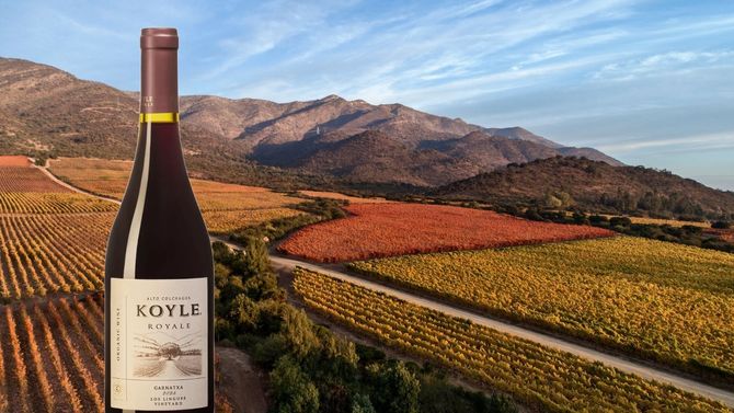 Kan garnacha förändra bilden av Chile?