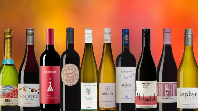 Tips på tio prissänkta viner på Systembolaget