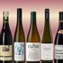 Höstens bästa viner att beställa – 7 tips