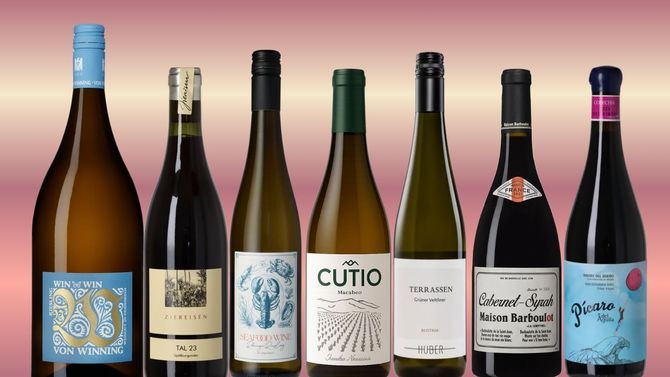 Höstens bästa viner att beställa – 7 tips