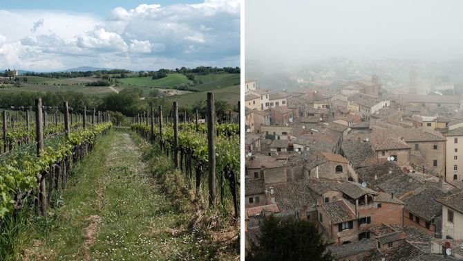 Vino nobile di Montepulciano