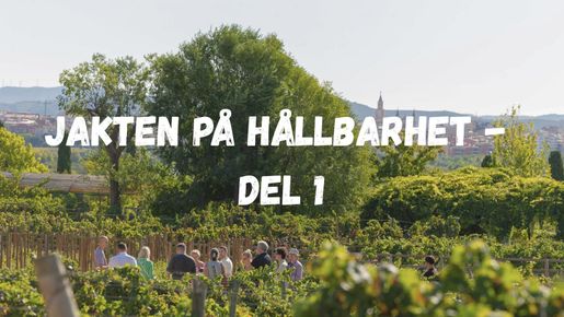 Jakten på hållbarhet – del 1