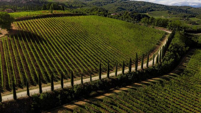 Toscana vin