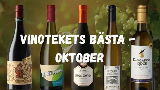 Vinotekets bästa – oktober