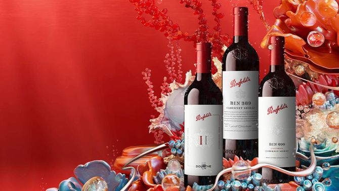 The Penfolds Collection 2023 