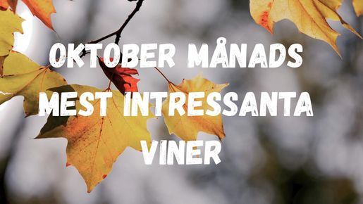 Oktober månads mest intressanta viner