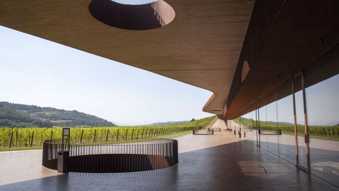 Viner för över 50 miljoner kronor stulna från anrikt italienskt vinhus