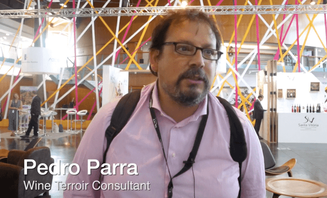 MUST - Fermenting Ideas Wine Summit 2019 med Pedro Parra