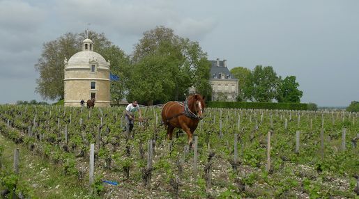 Bordeaux 2021 primörer