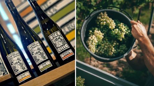 Grüner veltliner vill ta plats bland världens stora druvor