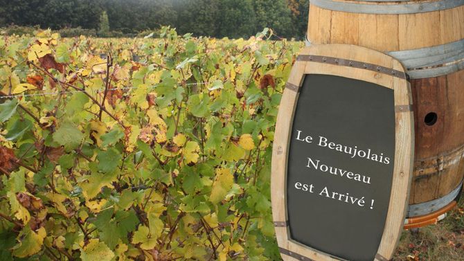 Beaujolais Nouveau 2023 – här är vinerna på Systembolaget