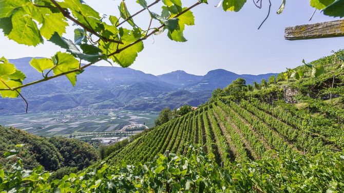 Havsbris från två hav sveper in över Alto Adige.