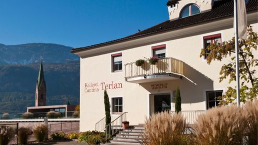 Cantina Terlan tar italienska vita viner till nya höjder