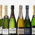 Bästa Champagne på Systembolaget 2025 - Vinbankens stora topplista