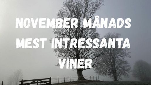 November månads mest intressanta viner
