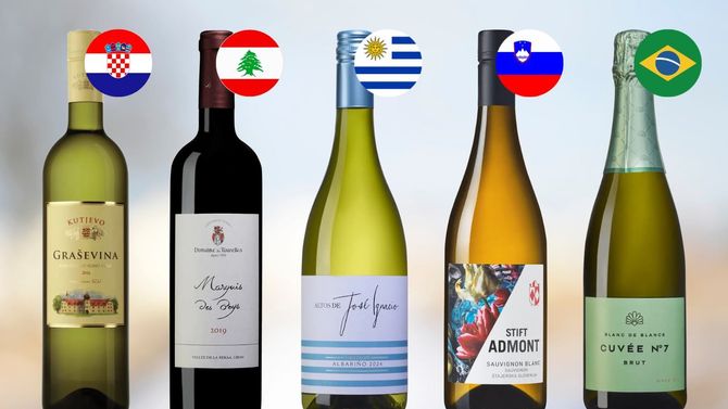 Fem viner från ”udda” vinländer som du inte får missa