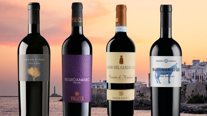 Upptäck Puglias dolda juveler: fyra viner som överraskar