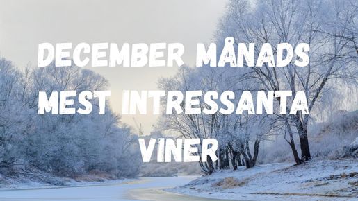 December månads mest intressanta viner