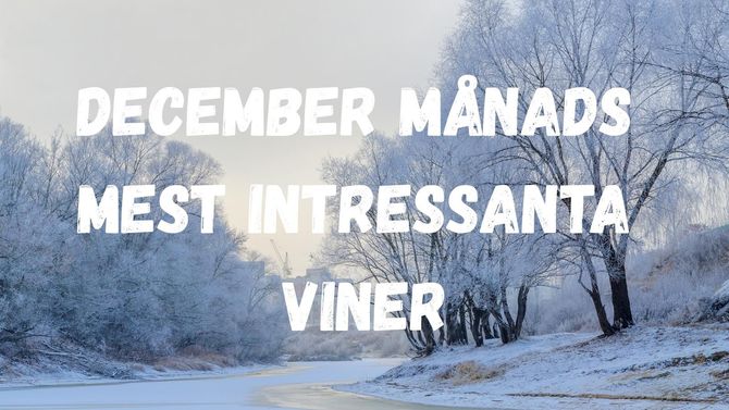 December månads mest intressanta viner