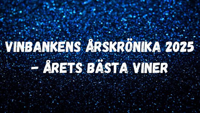 Vinbankens årskrönika 2025 – årets bästa viner är korade