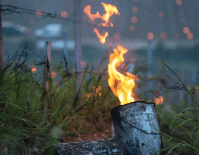 Köldknäpp hotar hela skörden i Chablis