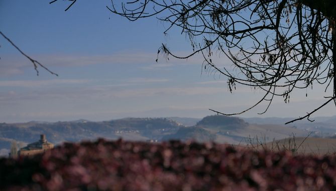 Barbaresco - avgränsat område och DOCG klassificerat vin i Cuneo, Piemonte