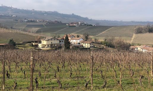 Klimatförändringar oroar i Barolo och Barbaresco