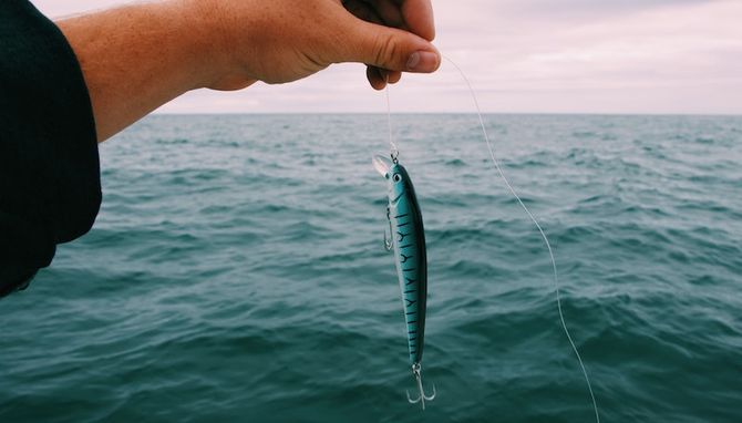 Tre tips hur du lagar bästa fisken