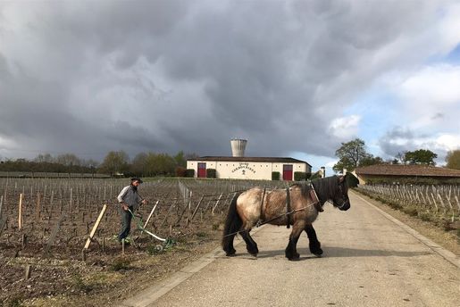 Analys av årgång 2018 Bordeaux