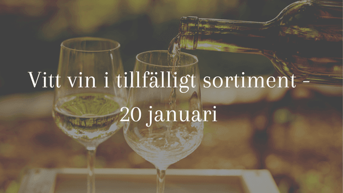 Vitt vin i tillfälligt sortiment - 20 januari