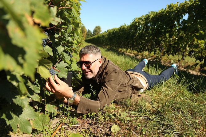 Drew Lambert från The Wine Wankers om vinåret 2019