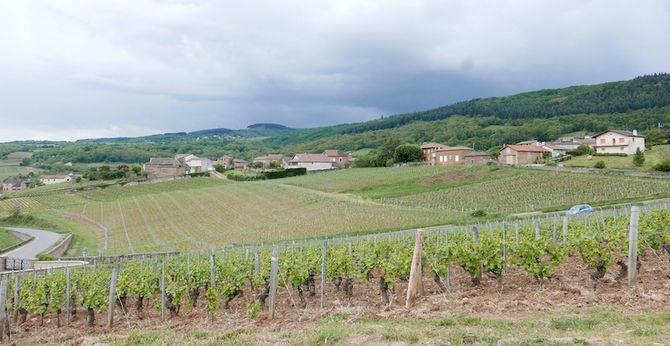 Bourgogne och dess viner i förändring