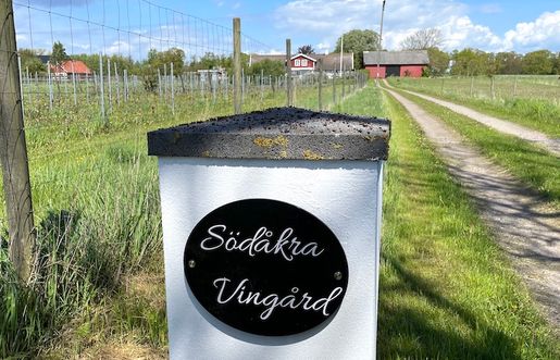 SÖDÅKRA - PRISAD VINGÅRD VID KÄND CYKELLED