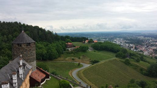 Spännande vinområde | Steiermark, Styria älskar schilcher