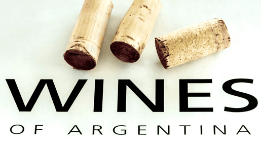 Gran Syrah – bland de bästa argentinska vinerna