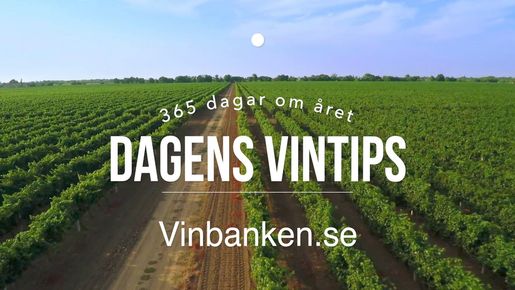 Dagens Vintips – 3 nov. 2018 – Loimer Lenz Riesling 2017