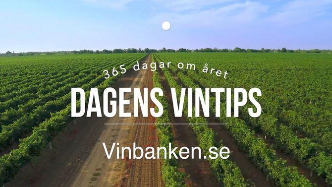 Chateau Belgrave - Dagens Vintips med Vinbanken