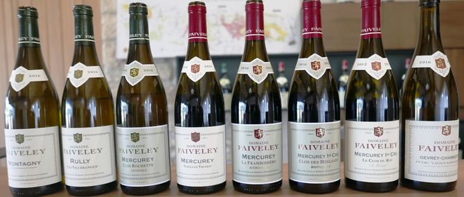 Domaine Faiveley La Framboisière i Mercurey, Bourgogne