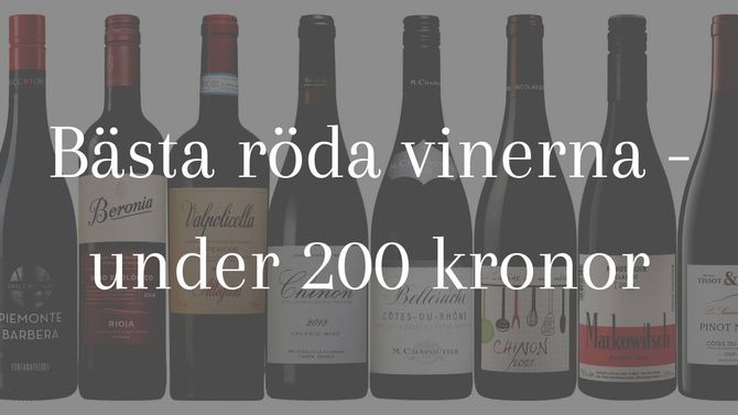 Bästa röda vinerna under 200 kronor